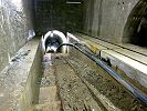 Standseilbahn Oberems Wasserschloss Augstwäng - die ehemalige Bergstation mit den Schienen und Sicht in den Bahntunnel im Jahr 2017 - Foto Archiv standseilbahnen.ch