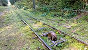 Standseilbahn Unter Axeli - Arnisee - die ehemalige Standseilbahn im Jahr 2024 - Foto Archiv standseilbahnen.ch